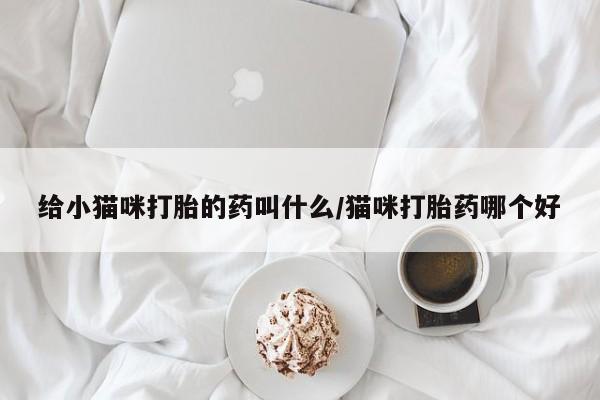 米非米索打胎药专卖微信给小猫咪打胎的药叫什么/猫咪打胎药哪个好
