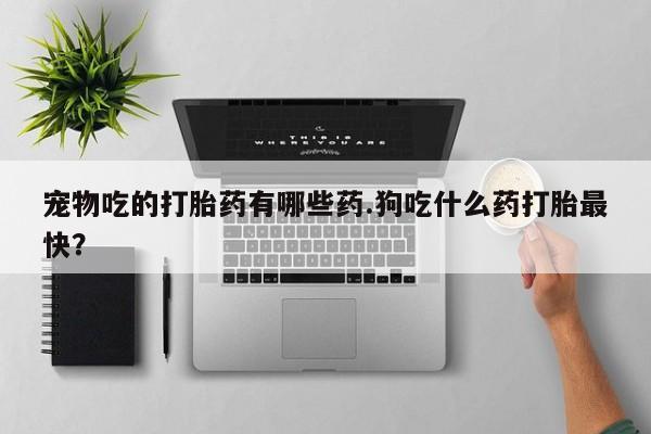 米非米索打胎药专卖微信宠物吃的打胎药有哪些药.狗吃什么药打胎最快？