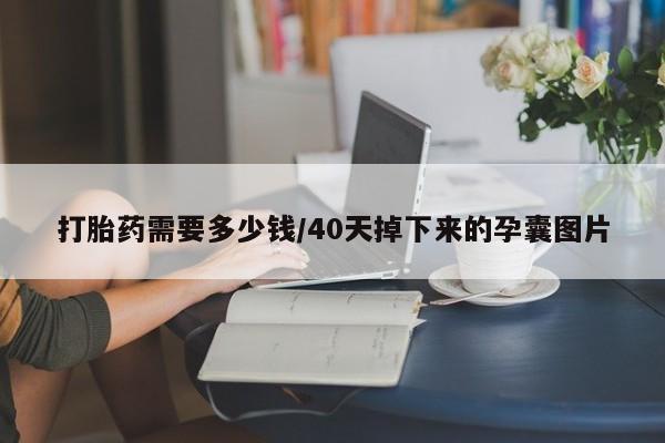 米非米索打胎药专卖微信打胎药需要多少钱/40天掉下来的孕囊图片