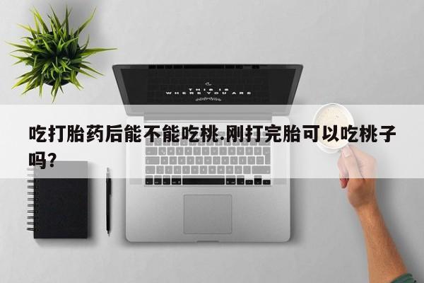 米非米索打胎药专卖微信吃打胎药后能不能吃桃.刚打完胎可以吃桃子吗?
